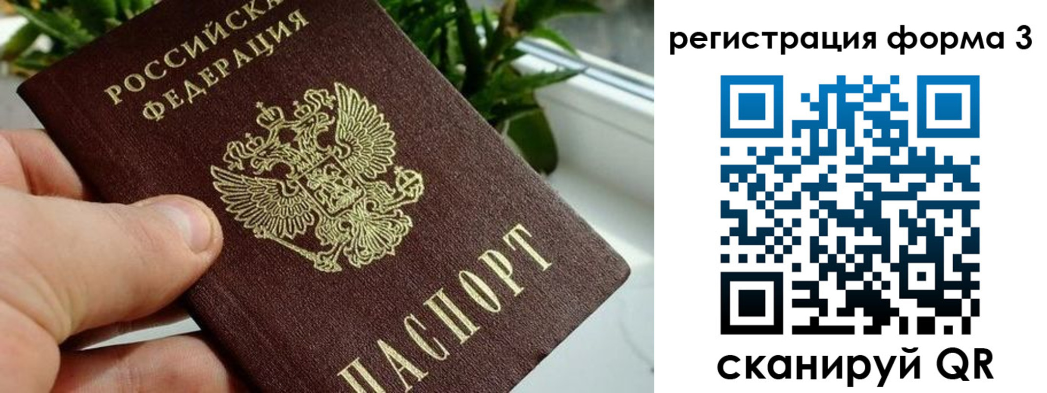прописка штамп в Сланцах